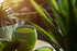 Aloe & Green Tea Fragrance Oil