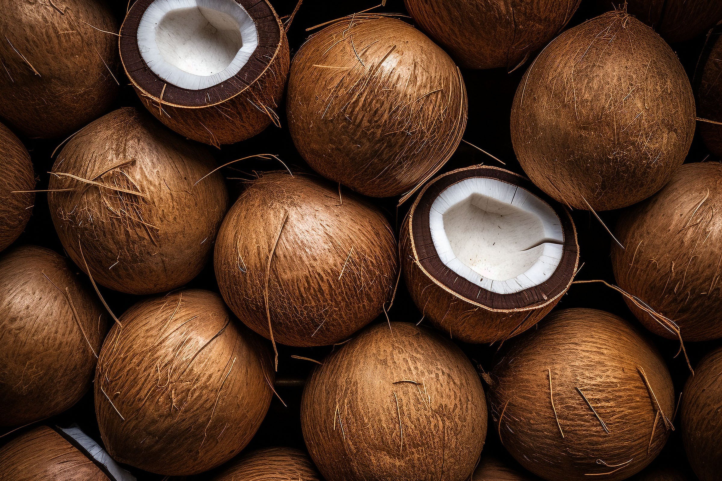 Coconut Fragrance Oil