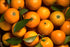 Organic Orange Essential Oil