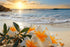 5 Star Hotel Fragrance Oil