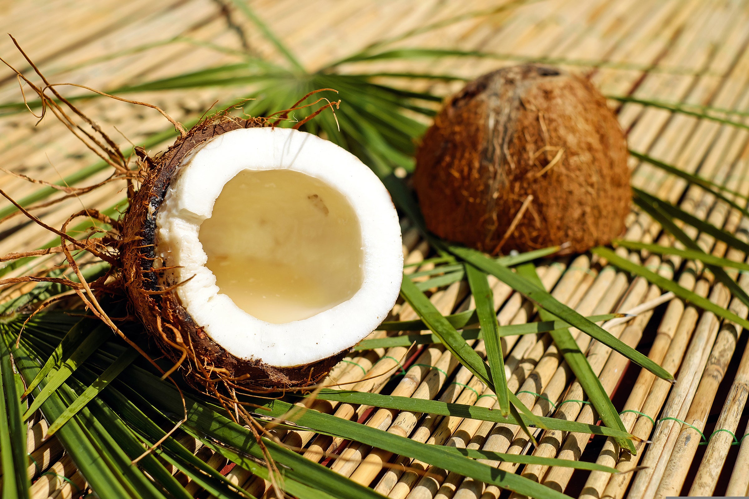 Coconut Spice  Fragrance Oil