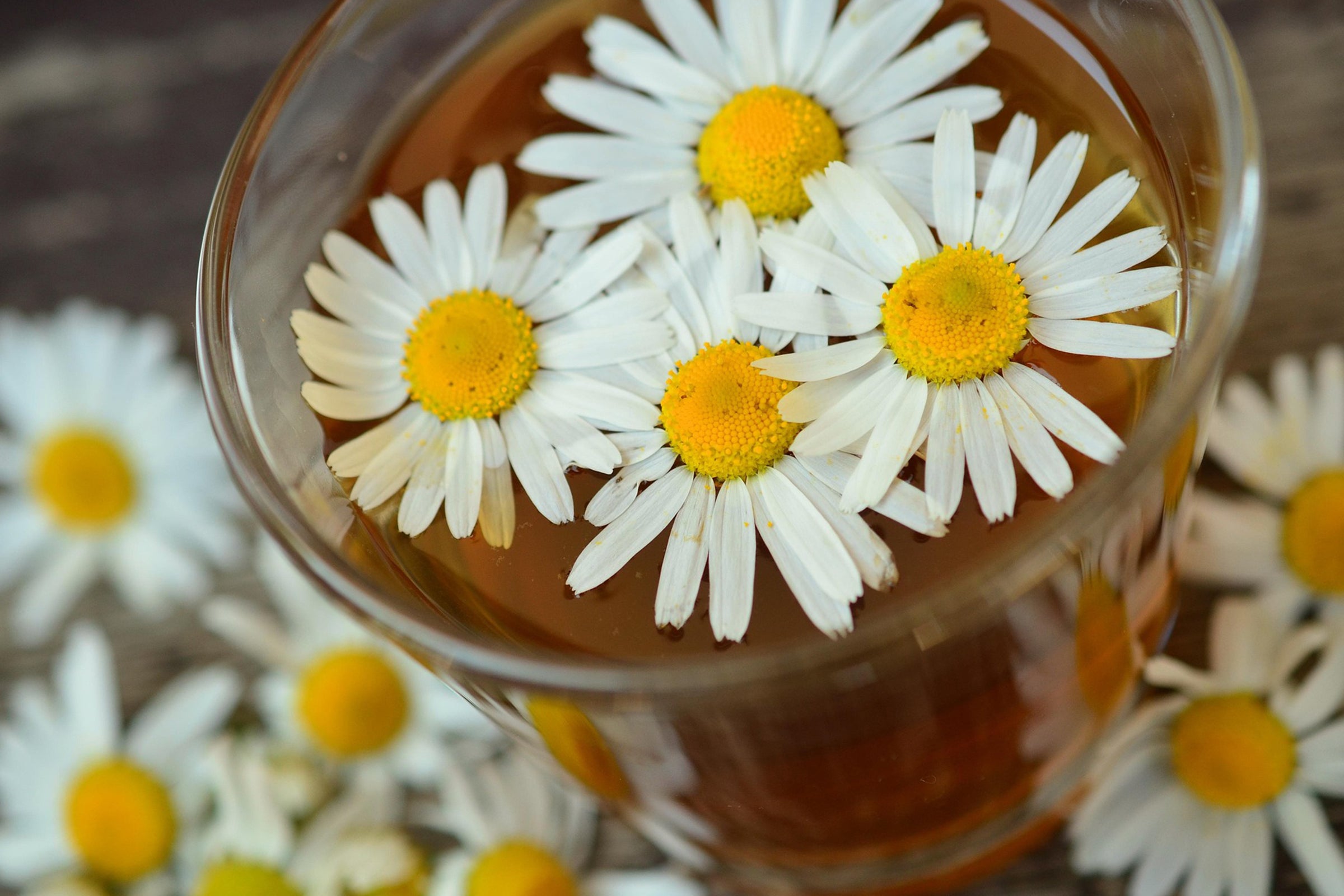 Honey Chamomile Fragrance Oil