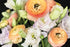 Soft Words Fragrance Oil