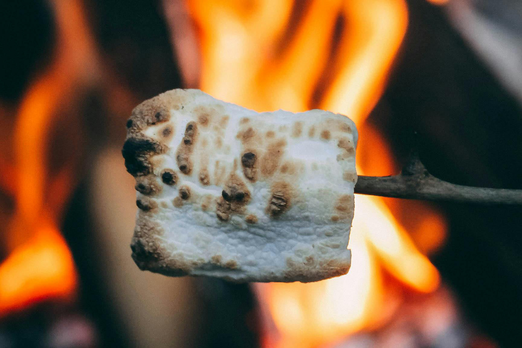 Campfire Marshmallow Fragrance Oil