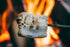 Campfire Marshmallow Fragrance Oil