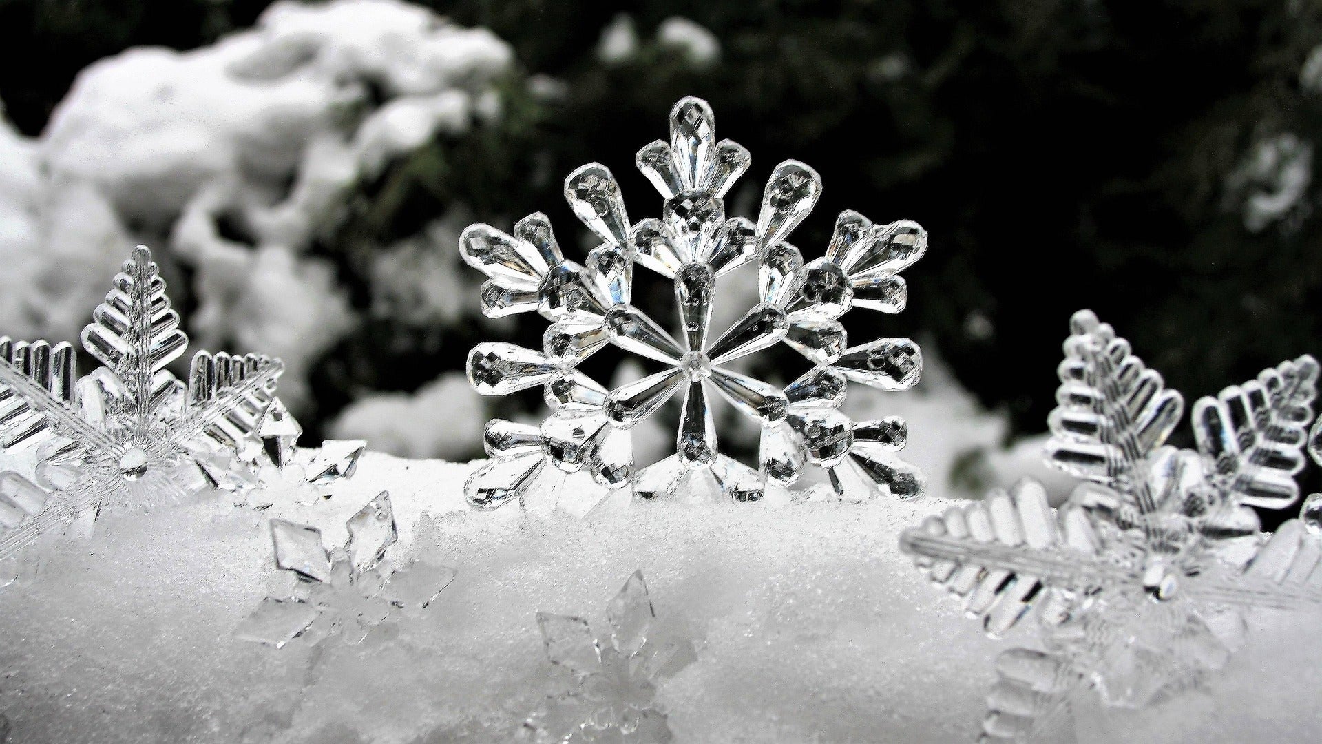 Snowflake & Cashmere BBW Fragrance Oil