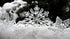 Snowflake & Cashmere BBW Fragrance Oil
