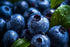 Blueberry Cobbler Fragrance Oil