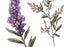 Lavender Tea Tree Essential Oil