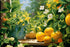 Lemon Flower Basil Fragrance Oil