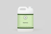 Rosemary Fragrance Oil  *New & Improved*