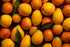 Tangerine Mango Fragrance Oil
