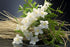 Vetiver & White Jasmine Fragrance Oil